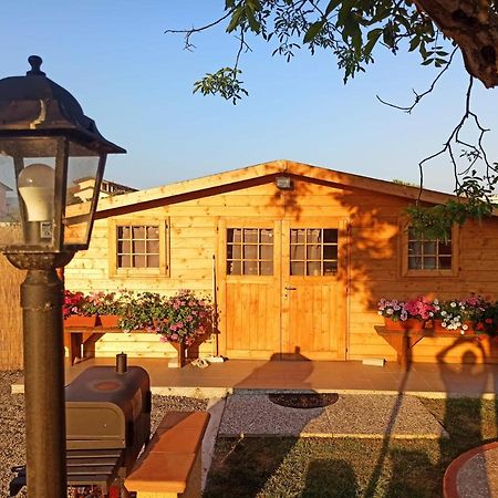 Tenuta Braccini Montecatini Terme Eksteriør billede