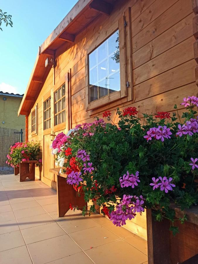 Tenuta Braccini Montecatini Terme Eksteriør billede